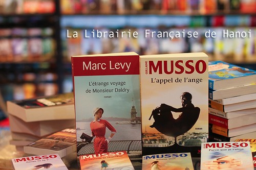 Beau rendez-vous des bibliophiles francophones dans "le quartier des étrangers" - ảnh 4