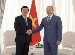 Vietnam-Russie: partenariat solide et sûr - ảnh 1
