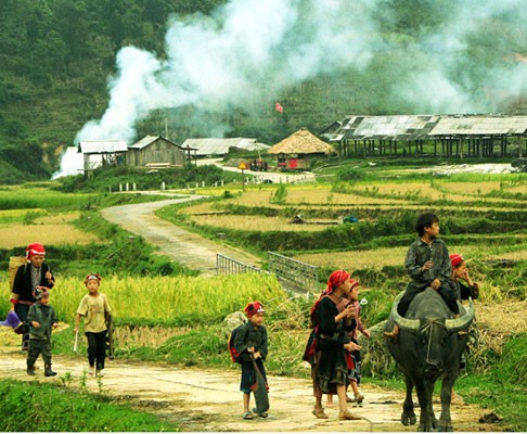 Se loger chez l’habitant au Vietnam - ảnh 1