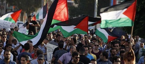 Journée importante pour la Palestine - ảnh 1