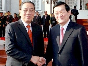 Donner un nouvel élan à la coopération multisectorielle Vietnam-Laos - ảnh 1