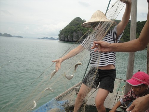 Etre pêcheur pendant un jour à Halong - ảnh 3