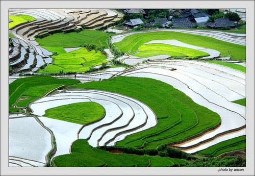 Les rizières en terrasse du Nord du Vietnam - ảnh 3