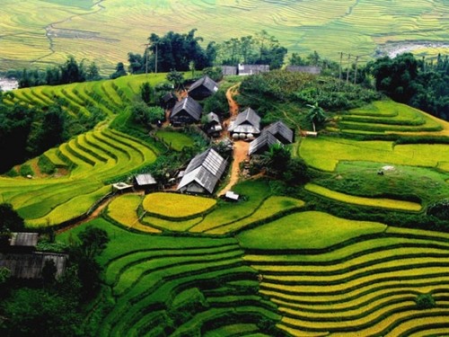 Les rizières en terrasse du Nord du Vietnam - ảnh 1