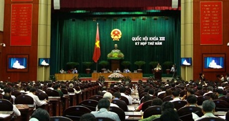 L’Assemblée nationale interpelle le ministre de l’Agriculture et du Développement rural - ảnh 1