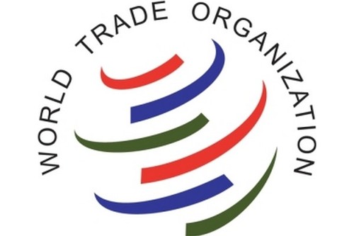 Le Vietnam observe pleinement ses engagements avec l’OMC - ảnh 1