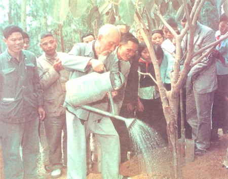 Lancement de la fête de plantation d’arbres dans l’ensemble du Vietnam - ảnh 1