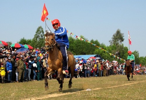 Diverses festivités à Hué, Phu Yên et Tuyên Quang - ảnh 2