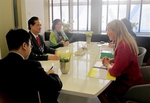 Entretien entre les Premiers ministres vietnamien et néerlandais - ảnh 1