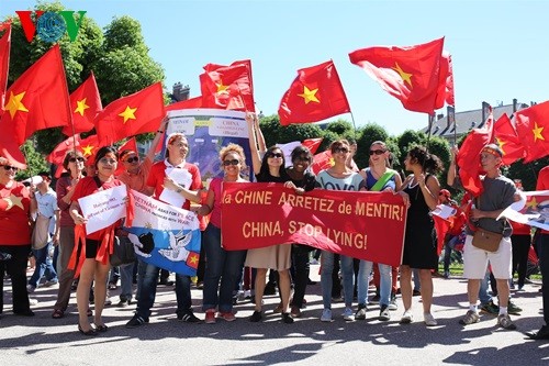 Défilé à Grenoble contre la violation chinoise en mer Orientale - ảnh 11