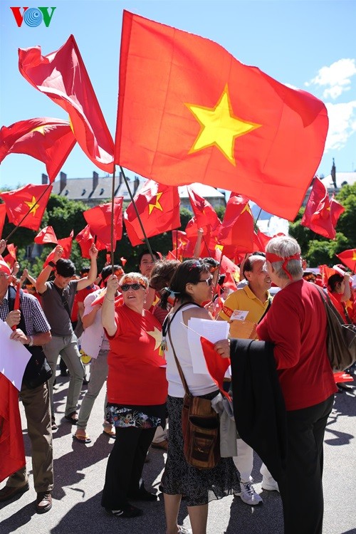 Défilé à Grenoble contre la violation chinoise en mer Orientale - ảnh 2