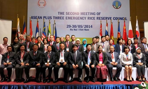 14 mille tonnes de riz chaque année pour la réserve de riz d'urgence de l'ASEAN+3 - ảnh 1