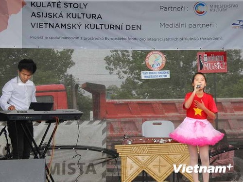 Culture : Journée culturelle vietnamienne en République tchèque - ảnh 1