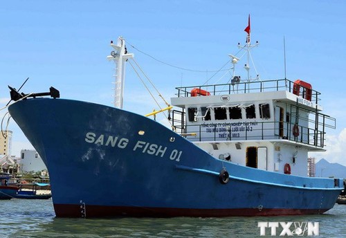 Le gouvernement promulgue des politiques d’aides aux pêcheurs.     - ảnh 1