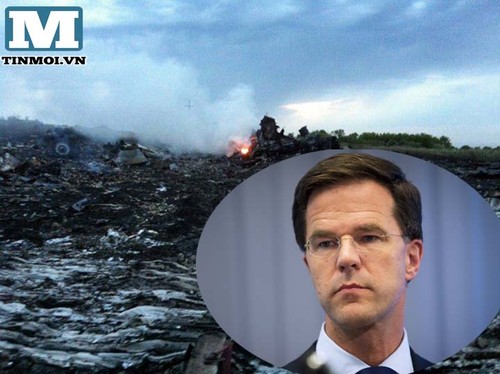 Crash MH17 : la Russie et les Pays-Bas sont pour une enquête internationale indépendante - ảnh 1