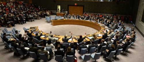Crash en Ukraine : adoption d'une résolution unanime à l'ONU - ảnh 1