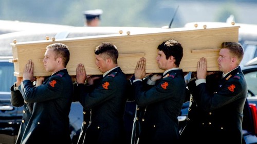 Les Pays-Bas accueillent les premières dépouilles des victimes du vol MH17 - ảnh 1