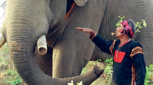 Les instruments de chasse à l’éléphant d’Ama Kông immortalisés - ảnh 1