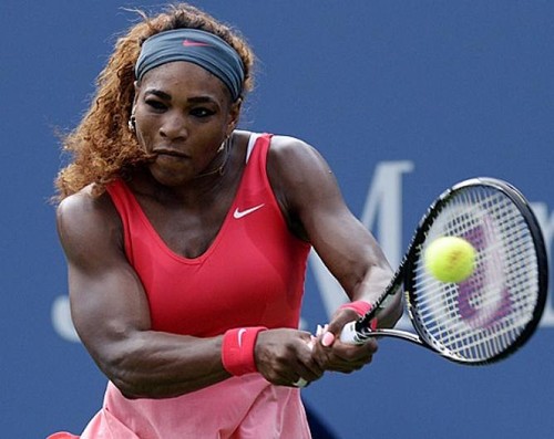 US Open: Serena Williams rejoint Wozniacki en finale - ảnh 1