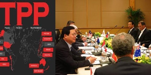 Les défis pour le Vietnam en adhérant au TPP - ảnh 1