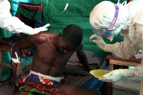 Stopper Ebola : une mission épineuse - ảnh 3