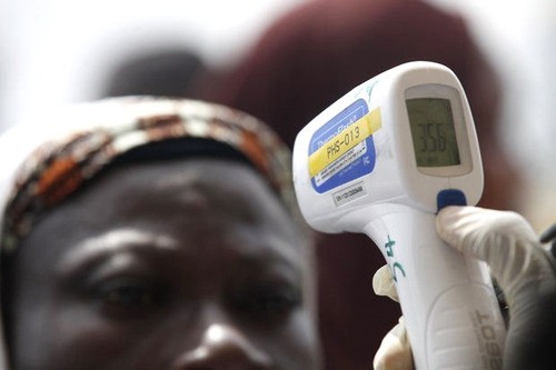 Ebola : OMS espère une baisse des infections d’ici au début 2015 - ảnh 1