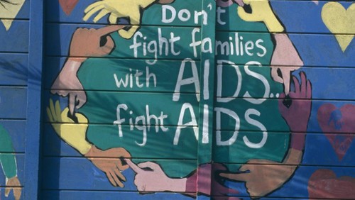 Journée mondiale de lutte contre le SIDA : traitement pour tous - ảnh 1