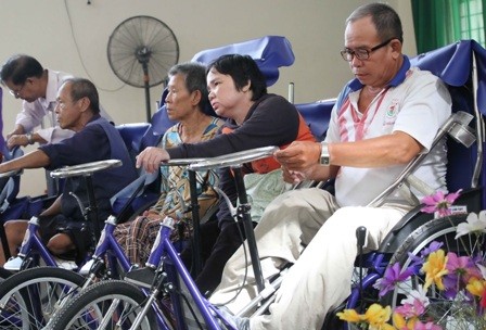 Activités en l’honneur de la journée internationale des personnes handicapées - ảnh 1