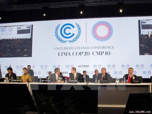 COP 20 : un accord à la dernière minute - ảnh 1