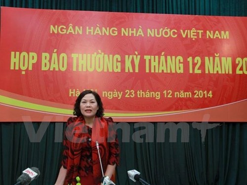 Prévisions : la croissance du crédit vietnamien atteindra 13-15% en 2015 - ảnh 1