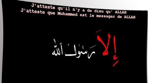 Plus d'un millier de sites web français piratés par des «cyberdjihadistes» - ảnh 1