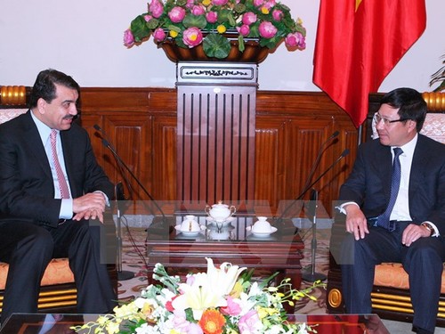 Première consultation politique entre les diplomaties vietnamienne et qatarie - ảnh 1