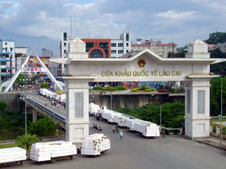 Exportation des produits sylvico-agricoles via le poste-frontière de Lao Cai - ảnh 1