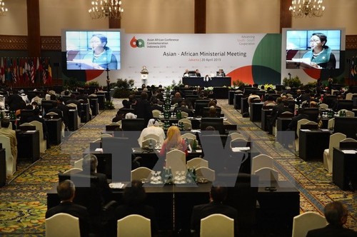 Le Vietnam renforce sa coopération avec l’Asie et l’Afrique  - ảnh 1