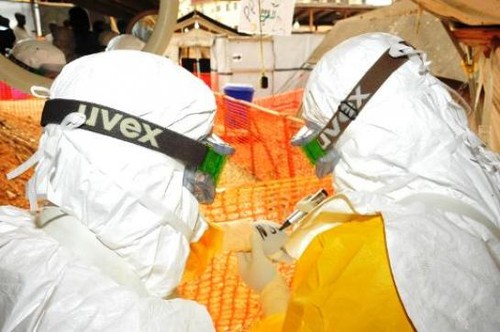  Ebola: le cap des 11.000 morts a été franchi selon l'OMS - ảnh 1