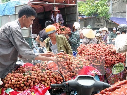 Première exportation de litchis vietnamiens en France - ảnh 1