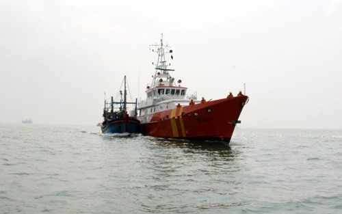 L’APV proteste contre la destruction par la Chine de bateaux vietnamiens - ảnh 1