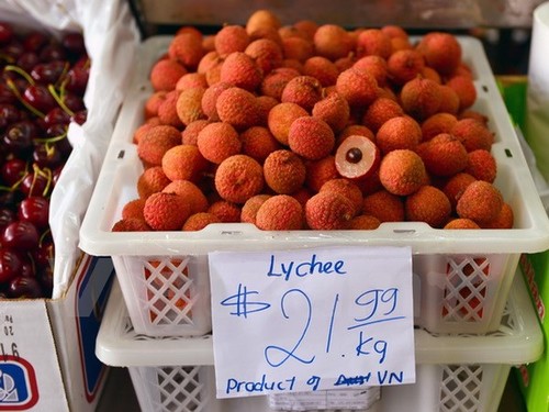 L’exportation du litchi ouvre la voie aux autres fruits vietnamiens - ảnh 1