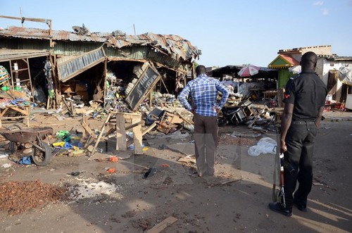 Nigéria: 42 morts attribués à Boko Haram  - ảnh 1