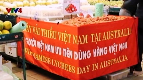 Journée de litchis vietnamiens à Sydney - ảnh 1