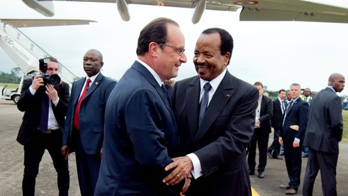 La France intensifie sa coopération avec l’Afrique - ảnh 1