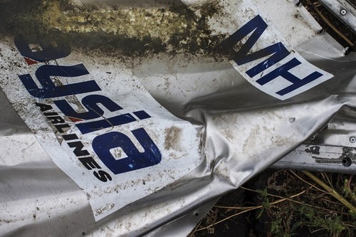 Les forces d'autodéfense de Donetsk publient des documents sur le crash du MH17 - ảnh 1