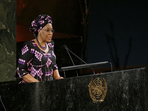 Le Nigeria assume la présidence du Conseil de sécurité de l’ONU  - ảnh 1