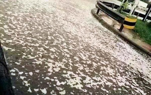 À Tianjin, après la pluie, une mystérieuse mousse blanche envahit la ville - ảnh 1