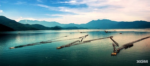 Les marais et lagunes à Hue - ảnh 1