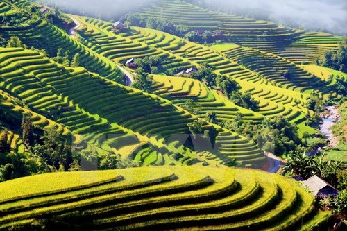 Semaine culturelle et touristique des rizières en terrasses de Hoang Su Phi - ảnh 1