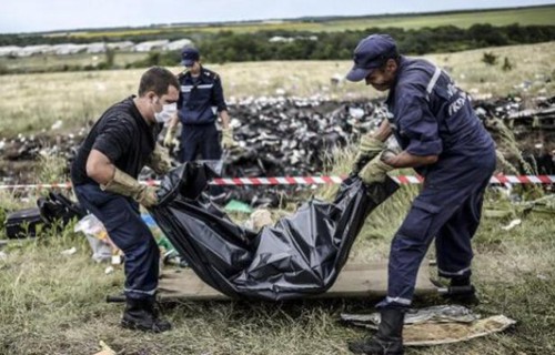 Pays-Bas: de nouveaux restes de victimes du MH17 ont été retrouvés  - ảnh 1