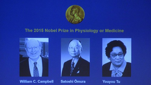 Le prix Nobel de médecine décerné à trois chercheurs - ảnh 1