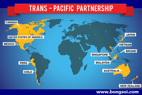 TPP: Le Vietnam semble être le grand gagnant - ảnh 1