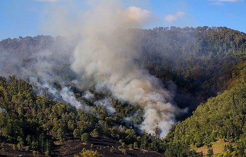 Indonésie : Une coalition internationale pour lutter contre les feux de forêt  - ảnh 1